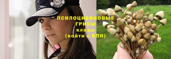 СК Баксан