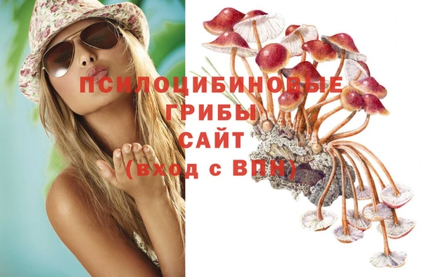 гидропоника Балахна