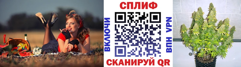 Шишки марихуана OG Kush  закладка  Давлеканово 